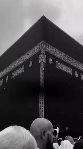 قيل له ادخلي الصرح ياسر الدوسري#CapCut #قران #muslim #القران_الكريم #قران_كريم 