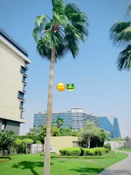 বেইমানি করছে🙂🐸#foryou #foryoupage #tiktokindia #trendingvideo 