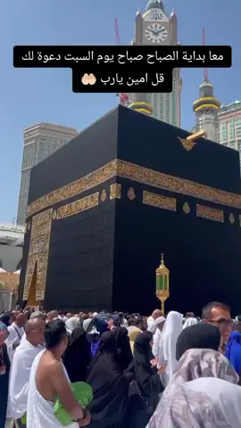 #اللهم_امين_يارب🤲🏻 #معا بداية الصباح صباح يوم السبت #قل #امين_يارب #quran_alkarim 