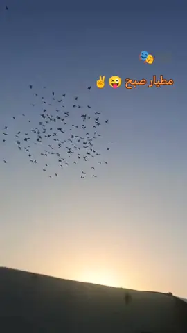 #فلوجه_ابن_الانبار #مصنع_الرجآل #لعيونكم_حبايب_قلبي♡🧤🙋 #لايك_متابعه_اكسبلور #تعليقاتكم_لايك_كومينت_اكسبلور 