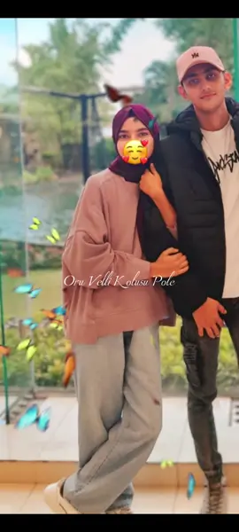 🗣️ try this template 🗣️ thangachi 😅🫢#japanboys🇯🇵 #6millionviews❤️💘 #love💗✨🌿🦋 #singleboy💪🏻 #attude_boy_swag_style🔥 @𝙃𝙖𝙨𝙨𝙪 𝘾𝙧𝙪𝙨𝙝 🪐🌴💗 @𝘼𝙍𝙃𝘼𝙈 ✨💌🌴 @𝗕 𝗔 𝗔 𝗭 𝗜 🔘🎀 @EDITOR SHII @ＡＴＴＨＵ 🐺 @🖤Shiya_Shiry🖤 
