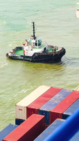 පොඩි උනාට සතා භයානකයි මල්ලී 🤪#kaushalathapaththu #gantrycraneoperator #cect #colomboport #srilanka 🇱🇰
