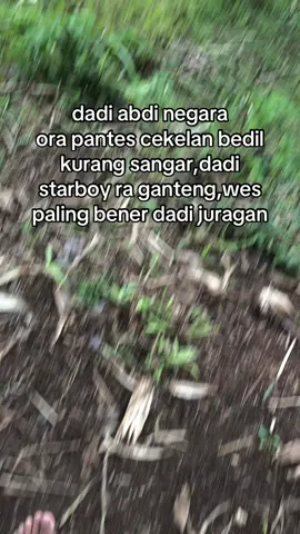 haiyok#bosmuda #peternakdomba #wonogiri24jam #juragan 
