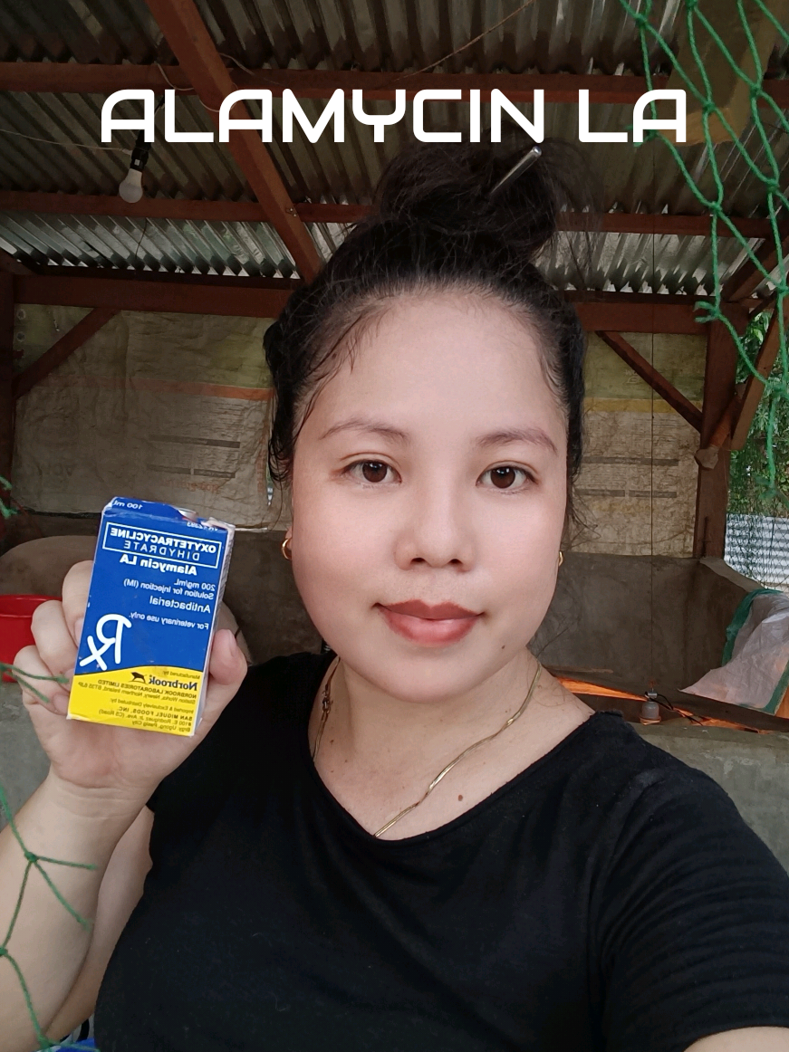 ALAMYCIN LA PARA DI LUMALA ANG SAKIT NG ATING MGA ALAGA MAG IMBAK NG ALAMYCIN PARA LESS STRESS NA DIN✅