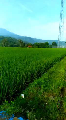 Pasti ada enak dan gak enaknya #promoseruweekend #viralvideo #foryoupage #fyp #fyppppppppppppppppppppppp 