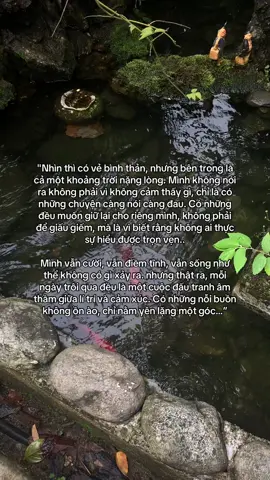 …#tamtrang #story 