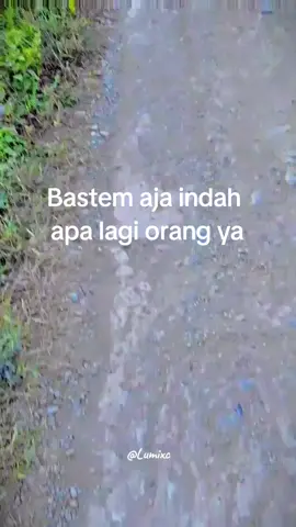 bage Man kah orang bastem #fyppppppppppppppppppppppp #fypシ゚viral #fypシ゚viral 