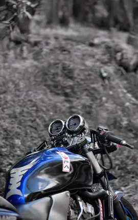 16 VALVE 😮‍💨🤯 #honet250 #hornetridersclub🐝🇱🇰hrc #downsouth🇱🇰 #dikwella #aluthgama 