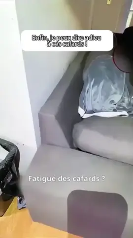 🪳 Marre des cafards ? Voici la solution ! ✅ Résultats visibles en seulement 5 à 6 jours 🌿 Sécuritaire pour la famille & respectueuse de l’environnement 🏠 Dites adieu aux nuisibles et retrouvez un foyer sain ⬇️ Découvrez LUXIVAC et rejoignez la communauté des foyers tranquilles !  #anticafards #cafard #astuceMaison #astuce #MaisonPropre #produitsnaturels