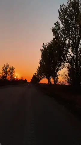 #дом💚