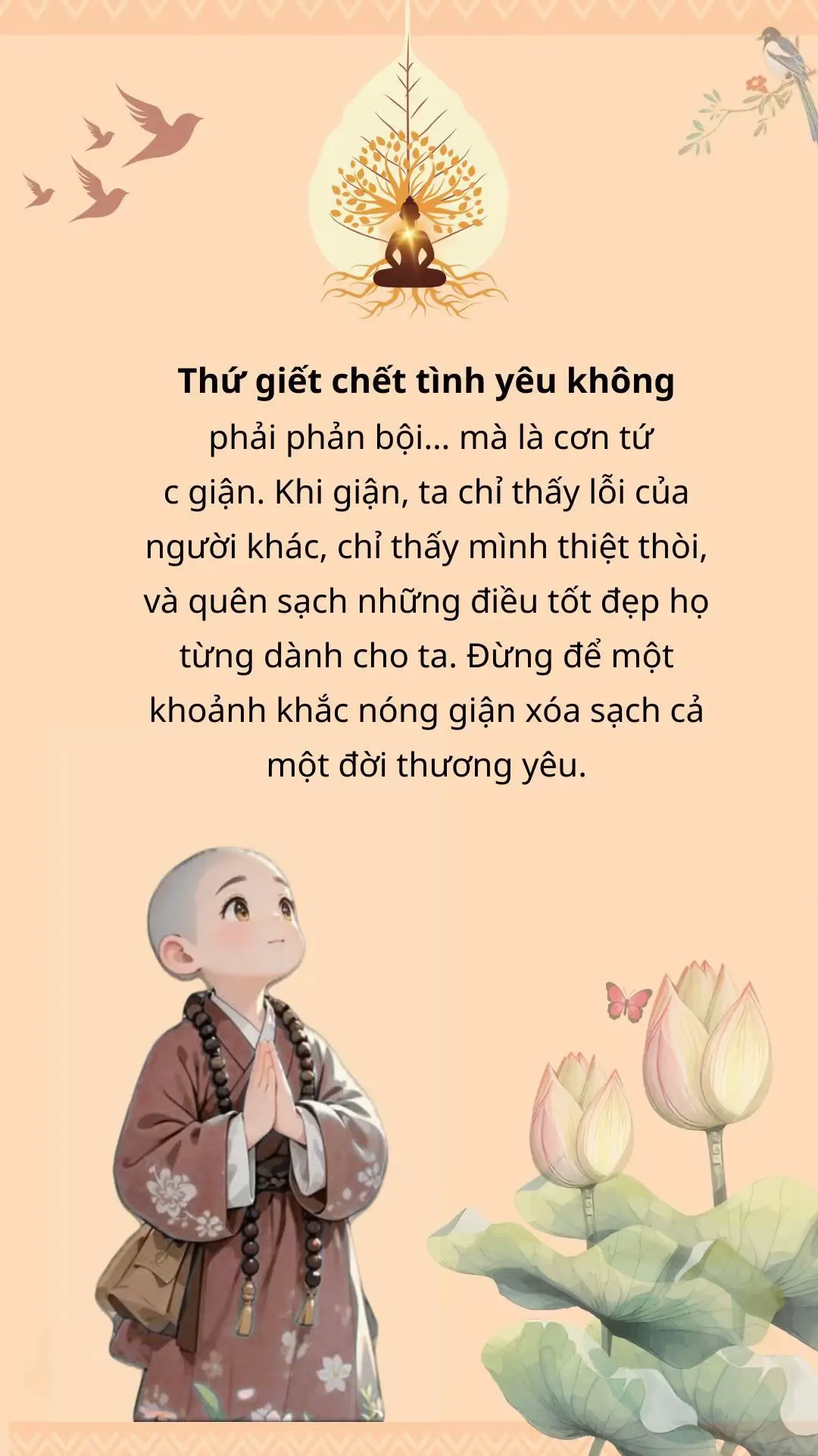 #anchay#loiphatday#phatphapnhiemmau#xuhuong#fyp 