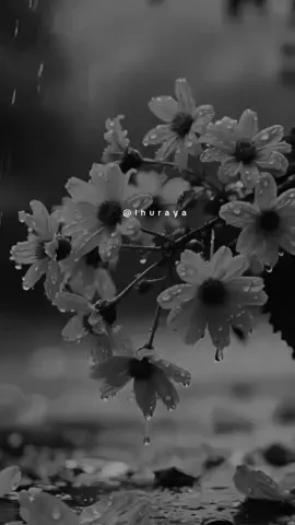 لعله خير ...🌱 #خواطر #اقتباسات  #اقوال #حكم #تصميمي 