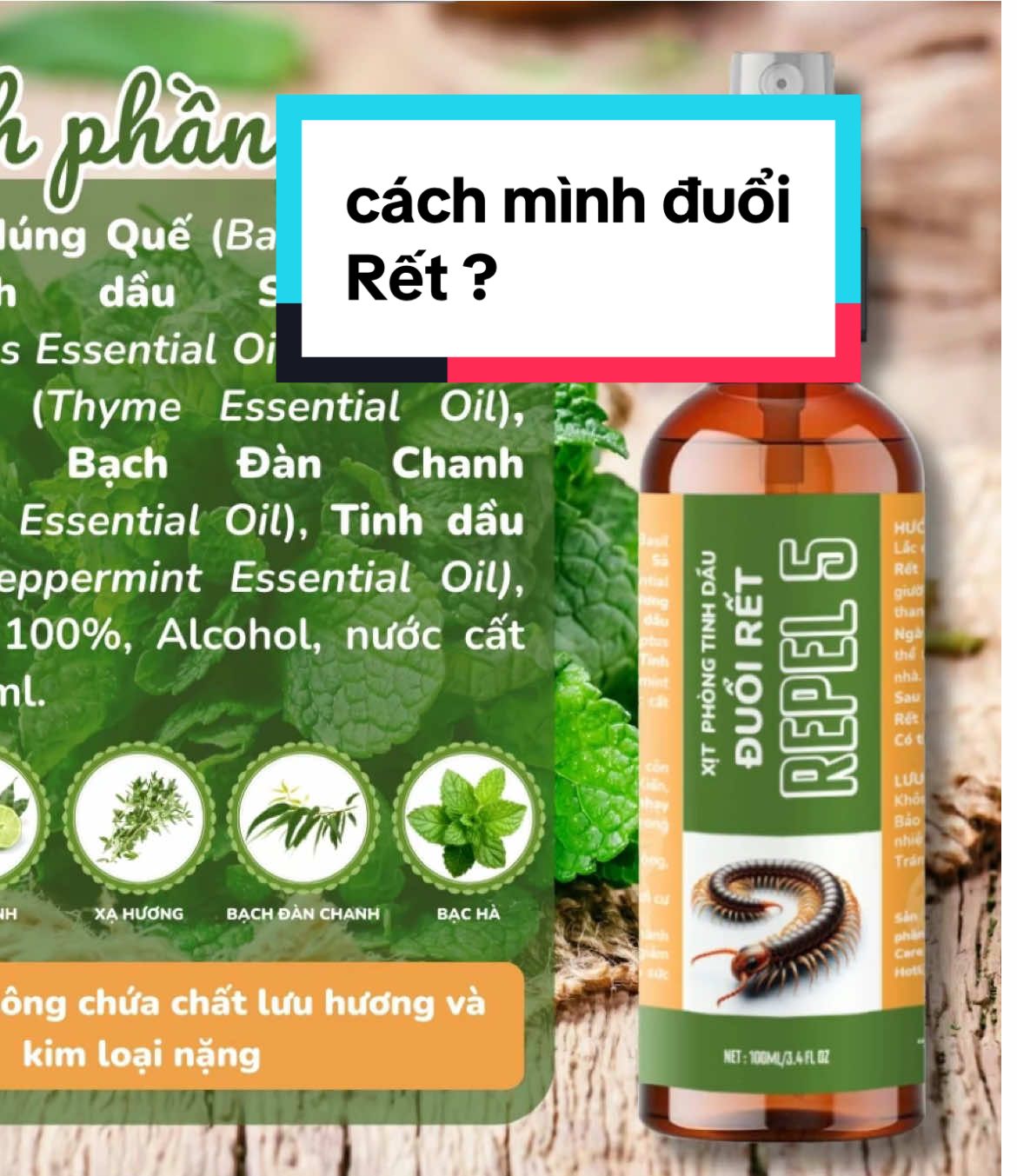 Trả lời @Cha Bé Bí Đỏ thật sự vào mùa mưa e sợ nhất là rết bò vào nhà đó a chị nhà có con nhỏ nữa nên e phải dùng chai này để e đuổi rết nè#xitduoiret#xitret #xitcontrung #ret#tinhdauxaduoiret  @ChiếnThắng.mìnhlànữ 