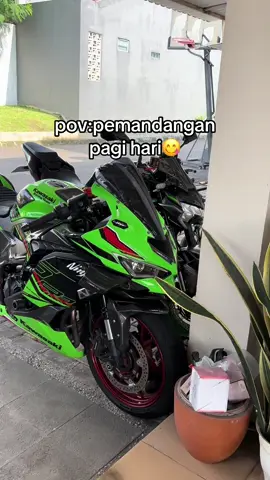 segerr mata😋#zx25r #z900 #motorcycle #fyp #foryou 