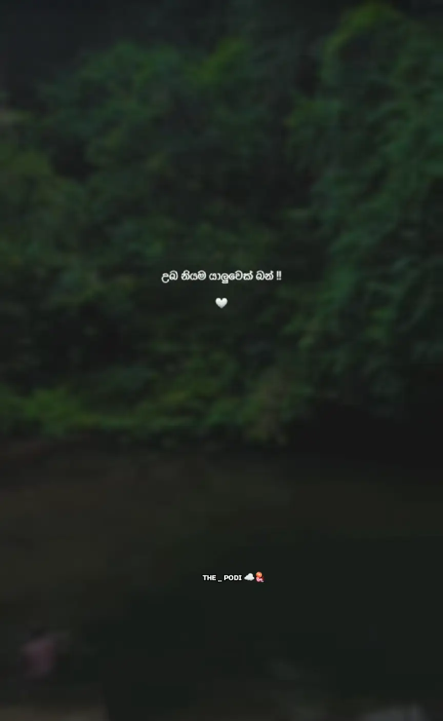 හ්ම්ම් ❤️‍🩹🫂@𝗧𝗛𝗔𝗗𝗜 🤍🍒 #srilankan_tik_tok🇱🇰 #whatsappstatus #fyyyyyyyyyyyyyyyy #foryoupage #fypviral
