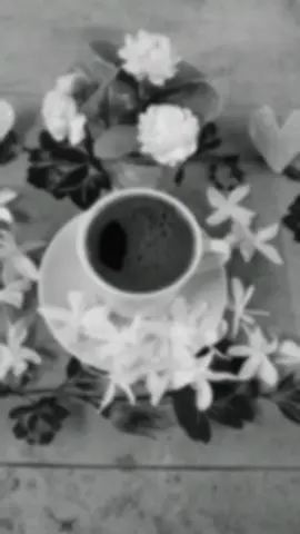 فنجان قهوتي 💞نعم......💞 💞أنت المقصود بحروفي ..💞 💞وأنت المعقود بروحي ..💞 💞وأنت غروبي وشروقي ..💞 💞وأنت وأنت وأنت ..💞 💞صعفي وجبروتي ..💞 💞ضحكتي ودموعي ..💞 💞عزلتي وظهوري ..💞 💞براءتي ونضوجي ..💞 💞سر حياتي ووجودي ..💞 #تركيا🇹🇷اسطنبول #سوريا🇸🇾 #هاشتاجاتي_الترند_المشهور 