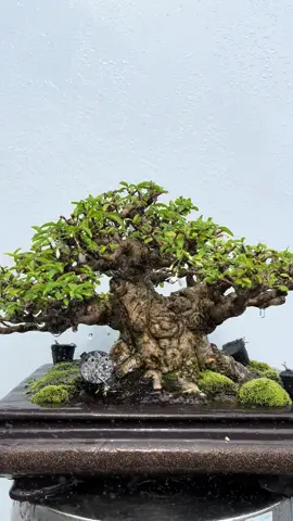 Ngày cuối tuần 