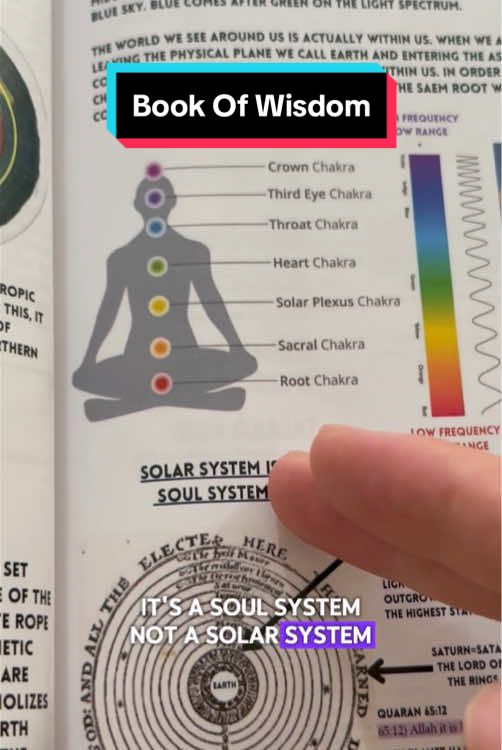 What the system you live is a soul system.#cozyvibes #dealsforyoudays #tiktokshoplabordaysale #bookofwisdom #BookTok 