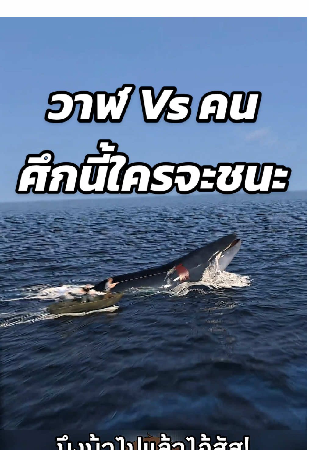 นักล่าวาฬ vs วาฬ บอกเลยวาฬชนะขาด 🐳 #ความรู้รอบตัว #สาระความรู้ #เรื่องเล่า #ฟีดดดシ #เรื่องจริง Cr. Zack D Flims