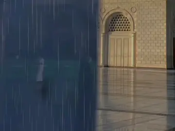 حساب بدون موسيقى 🤍☘️ #فيا_رباه_عبدُ_تائبُ_من_ذا_سيؤويني #راحة_نفسيه🤲 #ɴᴏ_ᴍᴜꜱɪᴄ 