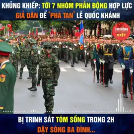 Khiếp đảm: bắt sống 7 nhóm Việt Kiều đòi quậy phá lễ Quốc Khánh. 