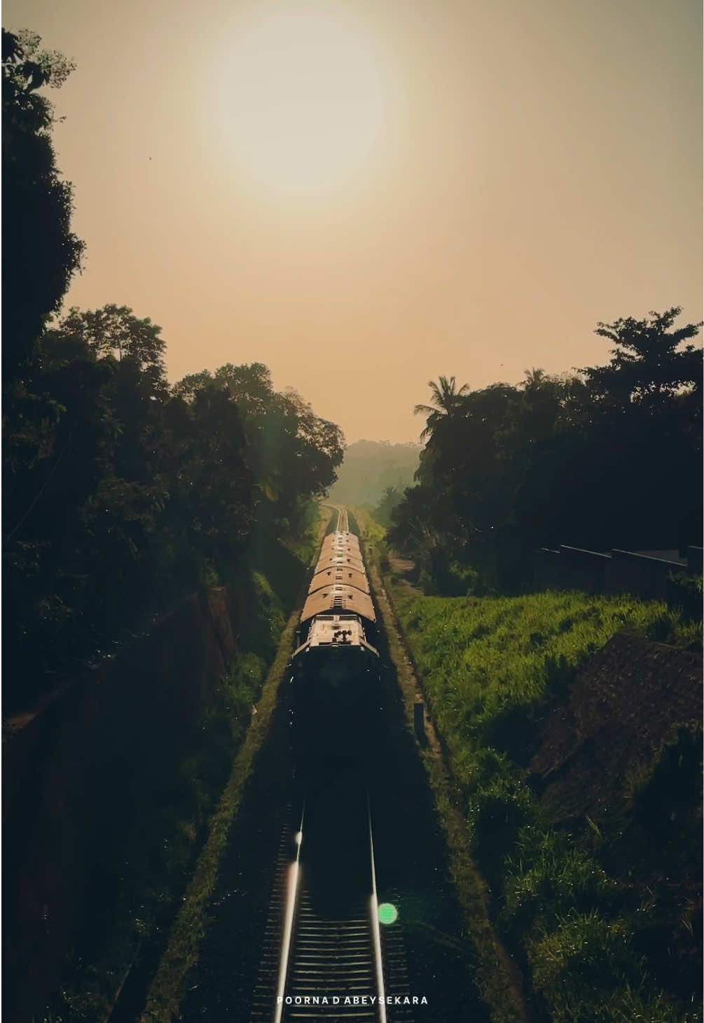 Morning Ride 🚌🚌 #train #travel #foryou #morning #sunrise #srilanka #ceylon_tik_tok #viral #creatorsearchinsights #feelings #vibes 