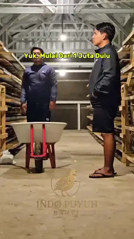 Solusi Cerdas: Titip Ternak Puyuh Petelur Mulai dari Rp1.000.000, kamu bisa buktikan sendiri kalau usaha itu nggak harus ribet. ✅ Profit rutin: Rp3.152.500 per minggu ✅ Kontrak singkat: 1 bulan ✅ Pembagian hasil mingguan, transparan & jelas ✅ Semua dikelola profesional, kamu cukup pantau hasilnya 📲 081315788046 #PuyuhPetelur #BisnisPuyuh #TernakPuyuh #TitipTernakPuyuh #InvestasiPuyuh #PeluangUsaha #PeternakMuda #CuanDariPuyuh #BisnisMilenial #UsahaSampingan #ModalKecilUntungBesar #FYPIndonesia #BelajarBisnis #PuyuhMenghasilkan #TernakModern #PeluangCuan