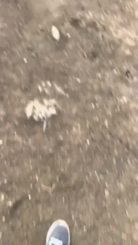 #CapCut 