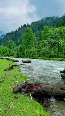 ❤️‍🩹😘کشمیر کے خوبصورت نظارے #kashmir #nature #grow #account #viralvideo 