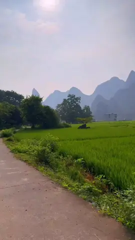 ထႃႈမွင်ၸႂ်ၵေႃႈ ပွၵ်ႈၶိုၼ်းမႃးတီႈဝၢၼ်ႈၵိူတ်ႇလႄႈ ထုင်ႉၼႃးလႄႈသဵၼ်ႈတၢင်းႁၢင်ႈလီဢၼ်ၸဝ်ႈၵဝ်ႇယၢမ်ႈပႆမႃးၼၼ်ႉ တေပၼ်တၢင်းသိူဝ်းၸႂ်ယူႇ# ပင်ပန်းရင် ကိုယ့်မွေးရပ်မြေကို ပြန်ပြီးနေပါ။ တိုင်းပြည်လမ်းတွေ၊ လယ်ကွင်းတွေ၊ စိမ်းလန်းတဲ့ သစ်ပင်တွေ... အားလုံးက မင်းကို ကုစားနေပုံပဲ။ 
