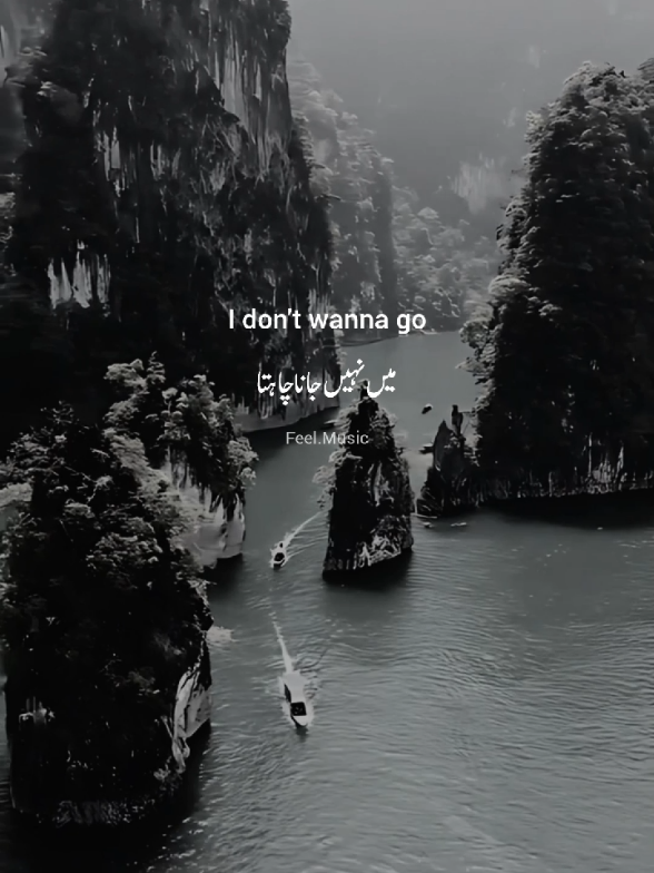 I wanna don't go #songs #lyrics #english #songslyrics #feelmusic41 