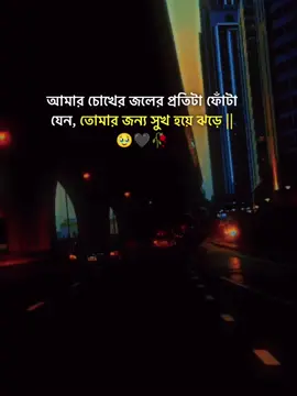 আমার চোখের জলের প্রতিটা ফোঁটা যেন, তোমার জন্য সুখ হয়ে ঝড়ে ||🥹🖤🥀#stutas #foryourpage #stutes_video #unfrezzmyaccount #bangladeshtiktok @#foryou @Tiktok Indai Tiktok  @Tik Tok 
