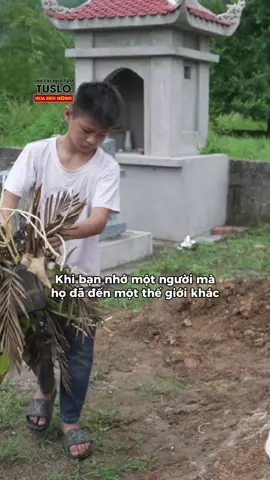 Khi bạn nhớ một người mà họ đã đến một thế giới khác - Hoàn cảnh em Nguyễn Văn Anh tập 150 #maiamgiadinhviet #hoasenhome #hoasengroup #hsh #tonhoasen #hsg #tonhoasenmagshield #hshpv