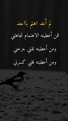 #اقتباسات #explore #fyp #عباراتكم_الفخمه📿📌 #اكسبلورexplore 