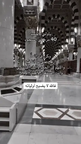 ####