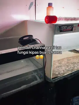 kita mulai dari 0