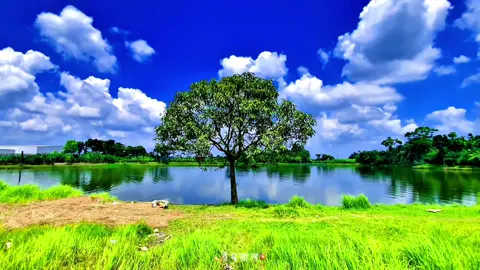 ভ্রমণ প্রেমি আর প্রকৃতি প্রেমি মানুষ আর যায় হোক মনের দিক থেকে ১০০% ফ্রেশ 🫵🤗  #প্রকৃতি #sky #anfeezemyaccont #viral_video_tiktok #foryoupageofficiall @💫স্বপ্ন ছোয়া💥 