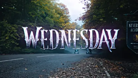 The Beauty of Wednesday 🖤 #wednesday #wednesdayaddams #fyp #wednesdaynetflix #movie 