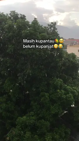 Masih terpantau🤣#moods? #fypforyoupage #xyzbca #masukberanda #4upage 