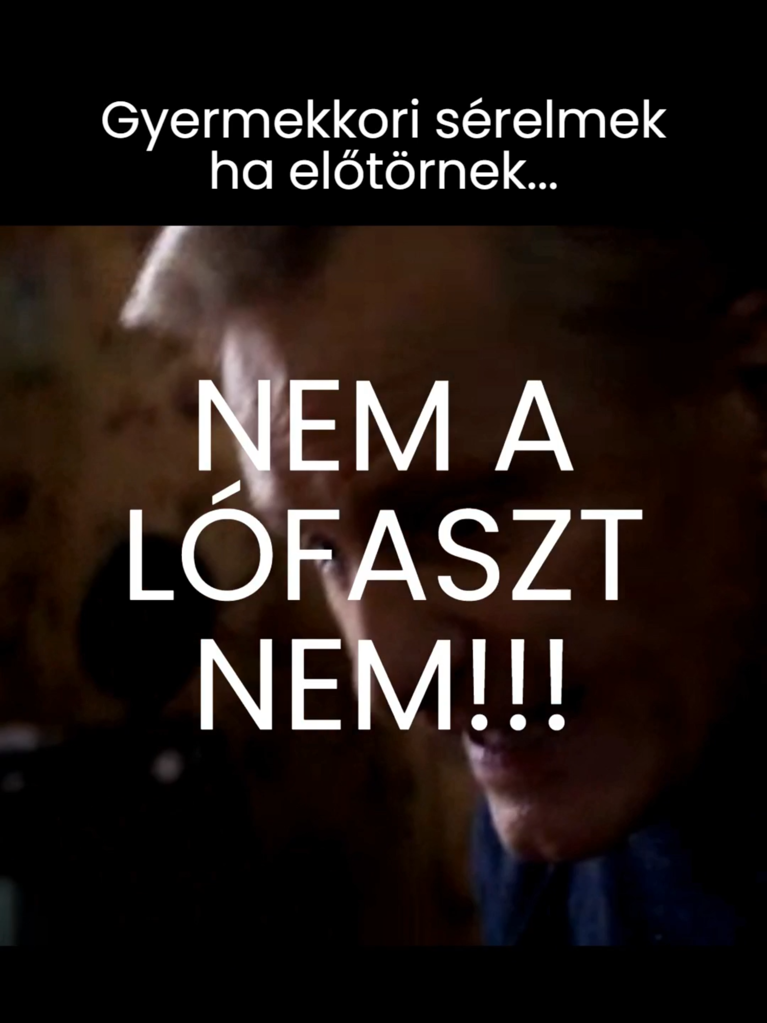 Aragorn és Bishop egy filmben???? Abból rossz nem sülhet ki! Film: Falling (2020) #otthon #család #motiváció #veszekedés #vicc #vicces #poén #humor #nevess #házasság #párkapcsolat #család #válás #gyermek #szülők
