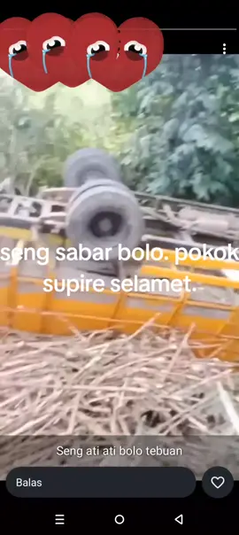 #fyp #sopirgulutan #lumajang 