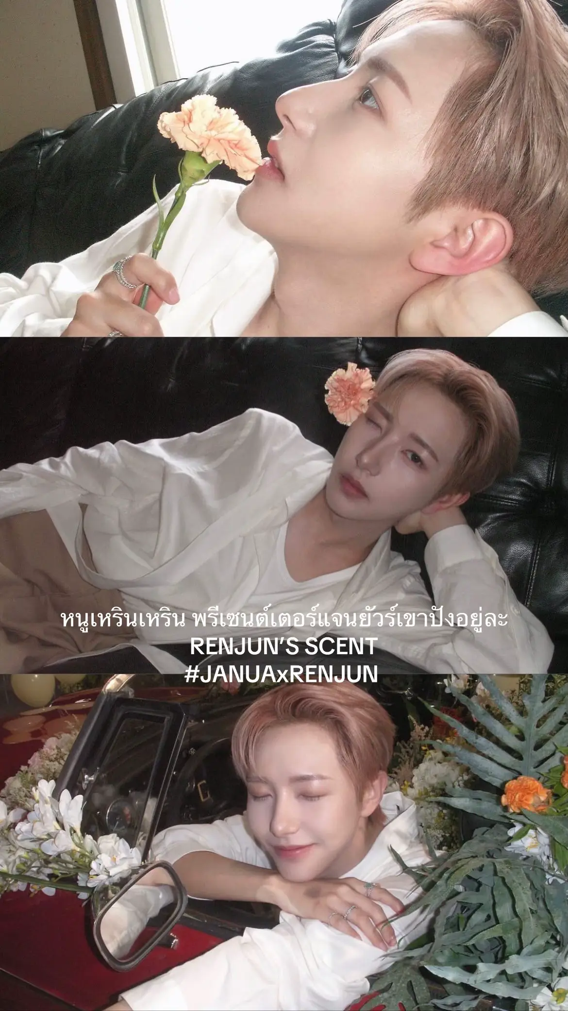 🦊💛 RENJUN’S SCENT   #JANUAxRENJUN