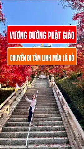 Vương Đường Phật Giáo - chuyến đi vừa thanh tịnh về tâm hồn vừa được mãn nhãn về thị giác 🍁🍂  Vương Đường Phật Giáo có tên chính xác là Niệm Phật Tông Tam Bảo Sơn Vô Lượng Thọ Tự, lấy Đức Phật A Di Đà làm Đức Giáo Chủ. Toạ lạc tại tỉnh Hyogo.     Theo lịch đã được đăt từ trước, 12h đoàn chúng tôi có mặt tại Vương Đường Phật Giáo. Đoàn được sự đón tiếp tận tình của các Phật tử của chùa ngay từ khi xuống xe.Sau khi được căn dặn về nội quy, quy định của chùa và hướng dẫn tuần tự đi vào thế giới Phật đà. Điểm đến  đầu tiên là chiếc cầu Chân Như ,bắc ngang Cảnh Nguyệt Trì  đến cổng chính để đi vào Tịnh Độ Viên. Tại cổng chính là hai vị thần hộ pháp đứng chầu hai bên cổng nhắc nhở mọi người khi bước chân đến nơi tôn nghiêm hãy để tâm thanh tịnh, làm điều lành và tránh xa những điều ác.  Con đường từ cổng đến chánh điện dài gồm 256 bậc cầu thang, mang một câu chuyện rất ý nghĩa về sự tích “Cá chép hóa rồng”, qua hình ảnh đó đề cao tinh thần Phật giáo: “Mỗi chúng sanh đều là có Phật tính, trải qua những khó khăn, trở ngại của cuộc đời dần hoàn thiện chính mình và có thể trở thành một vị Phật, giống như câu chuyện cá chép vượt vũ môn.    Dọc theo con đường dẫn đến chính điện là điện thờ Thánh Đức thái tử có hình bát giác, đây được xem là ngôi đền bát giác lớn nhất thế giới.       Ngôi Chính Điện ấn tượng nhất được trang trí những mẫu hoa văn chạm khắc tinh xảo, các tác phẩm khắc chạm mô phỏng theo kinh Vô Lượng Thọ .    Đoàn chúng tôi được vào trong khu trung tâm, tụng kinh niệm Phật và chiêm ngưỡng những kiệt tác nghệ thuật và được sư thầy giới thiệu và hướng dẫn làm lễ lần lượt từ Điện Quan Âm, Điện Thích Ca và Chính điện- Điện A Di Đà     Cảnh trí quanh chùa là những hoa viên hữu tình, rộng bạt ngàn.  Trong đó có những cây cổ tùng 800 năm tuổi.    Khu Công viên Ngũ Bách La Hán được trang trí 500 tượng đá A La Hán bằng kích cỡ người thật.    Suốt hành trình gần 4 tiếng đồng hồ viếng thăm Chùa chúng tôi luôn nhận được sự ân cần hỏi thăm , trao cho chúng tôi từng cốc nước lúc giải lao, chú ý bước chân để không bị ngã .    Cho đến cuối cùng vẫn không quên lời cảm ơn dịu dàng , chân thành trong lời nói và cả cử chỉ “ cảm ơn mọi người đã đến viếng thăm ,      xin đừng quên kỉ niệm đẹp ngày hôm nay ,     Mong mọi người lại đến nữa nhé “   Rời khỏi ngôi Chùa với tinh thần an nhiên thư thái . Cảm ơn vì tất cả sự ân cần, lời quý mến.     Hơn cả sự tuyệt vời !!! #osakatravel #vươngduongphatgiao #vuongduongphatgiao #hyogo #hyogo28🇯🇵 #kobe 