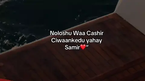 #somalitiktok 