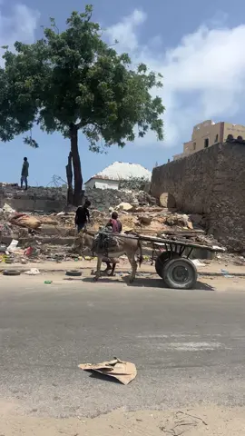 Dalxoreeye BaaBa Hassan Sheikh #foruyou #foryoupage #ciyalxamar #tiktoksomalia #somalitiktok  @𝐉𝐨𝐨𝐪𝐥𝐞 𝐉𝐨𝐨𝐝𝐚𝐱 ✅  @𝐉𝐨𝐨𝐪𝐥𝐞 𝐉𝐨𝐨𝐝𝐚𝐱 ✅  @𝐉𝐨𝐨𝐪𝐥𝐞 𝐉𝐨𝐨𝐝𝐚𝐱 ✅ 
