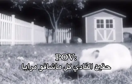 #سالم🇸🇦_ 