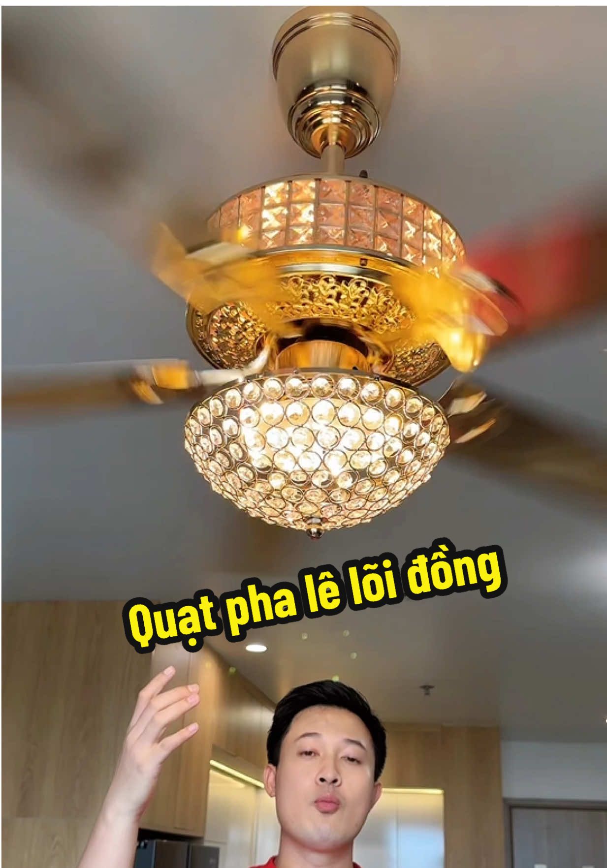 Mẫu quạt trần 5 cánh thiết kế Pha lê 2 tầng siêu đẹp #quat #quattran #quattranden #xuhuong #nhanuytin88 