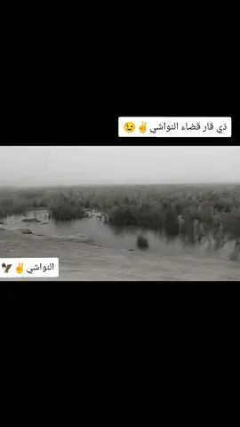 #النواشي_بني_خيگان🤞🇮🇶🚭 #بصره_بغداد_ميسان_ذي_قار_كل_المحافظات #tiktok #viral #fyp 