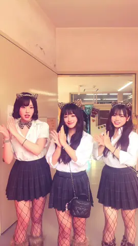 文化祭1日目は猫ちゃんしたヨ#ヒョウ柄猫ちゃん#めっちゃ暑かった#猫ちゃんかわいい#最後の文化祭#鶴高jk 