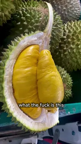 What the fuck is this #foryou #popular #fyp #fruit #popular 